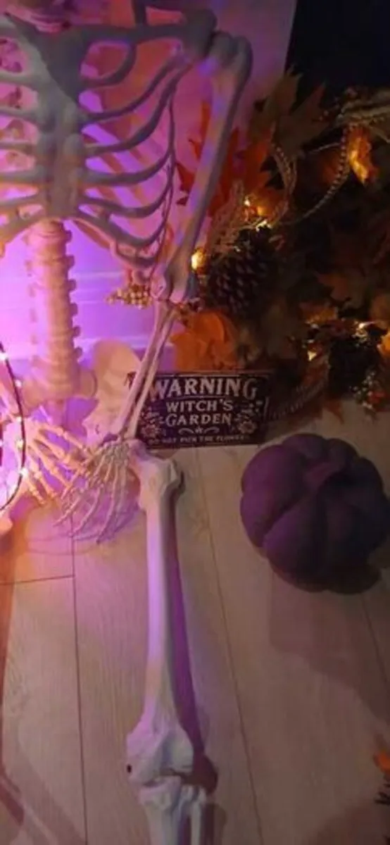 Life size skeleton - Image 3