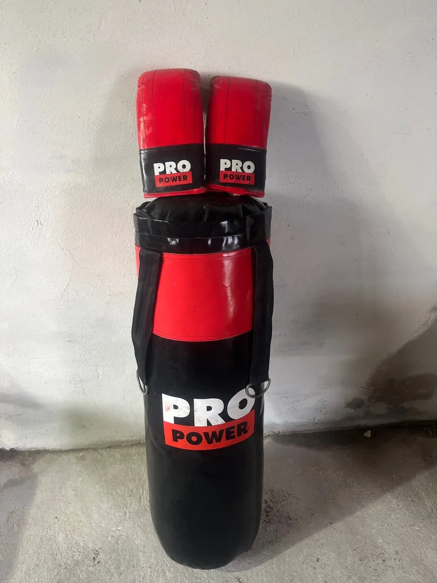Boxing bag