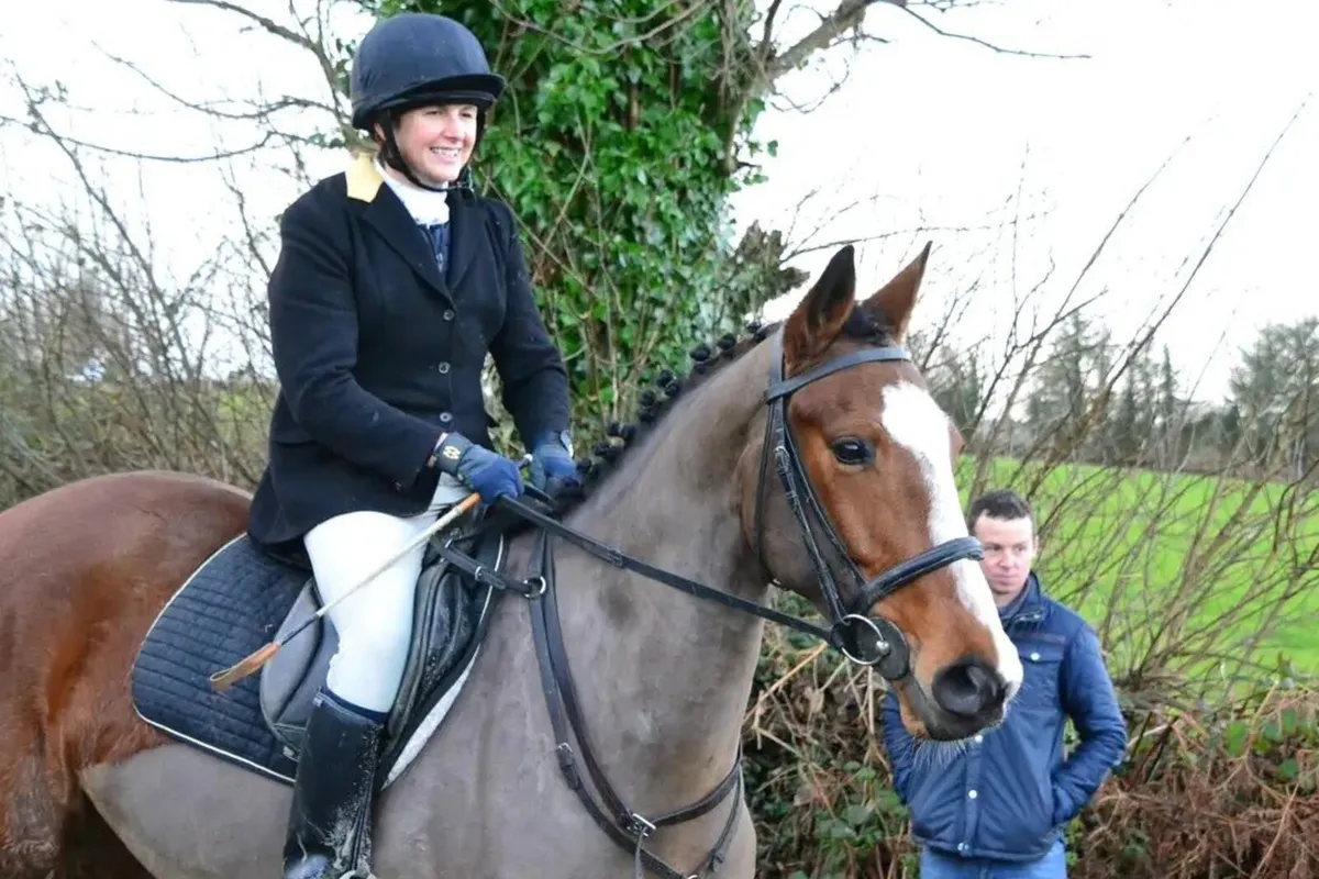Allrounder gelding - Image 3