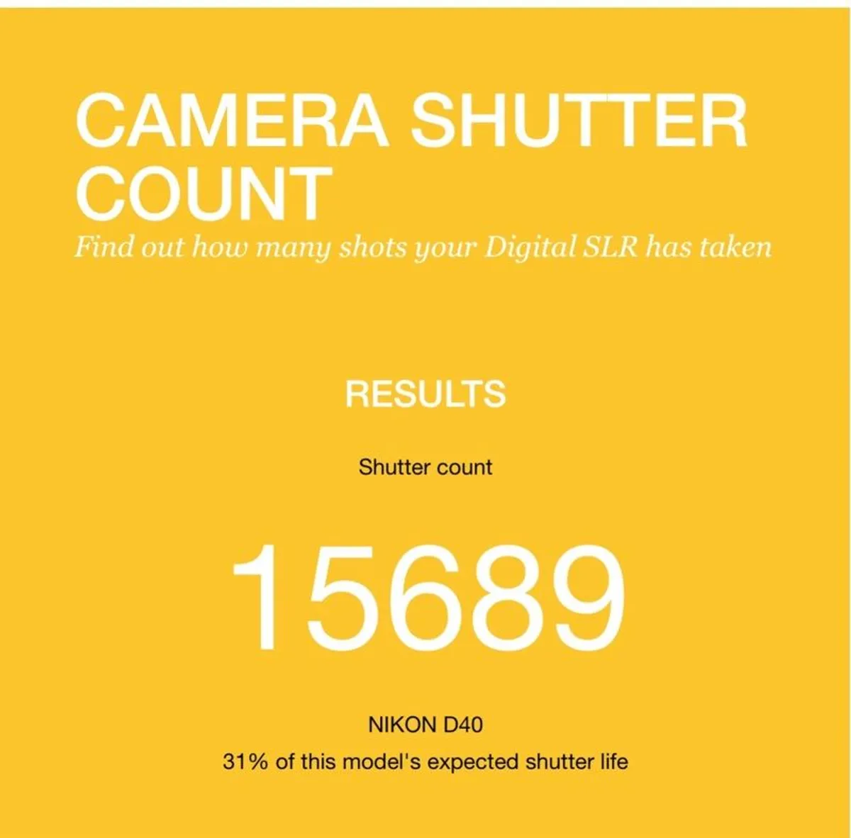 Nikon D40 (plus extras) - Image 3