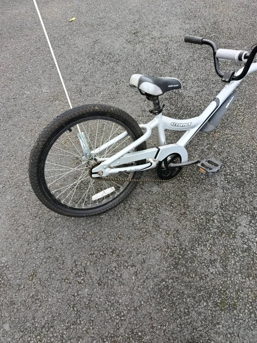Bike tag along - Image 1