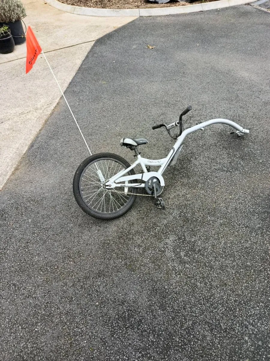 Bike tag along - Image 3