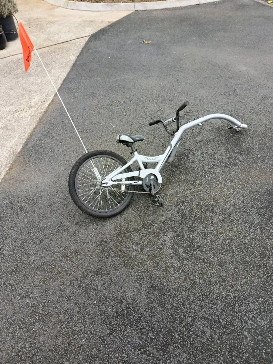 Bike tag along - Image 4