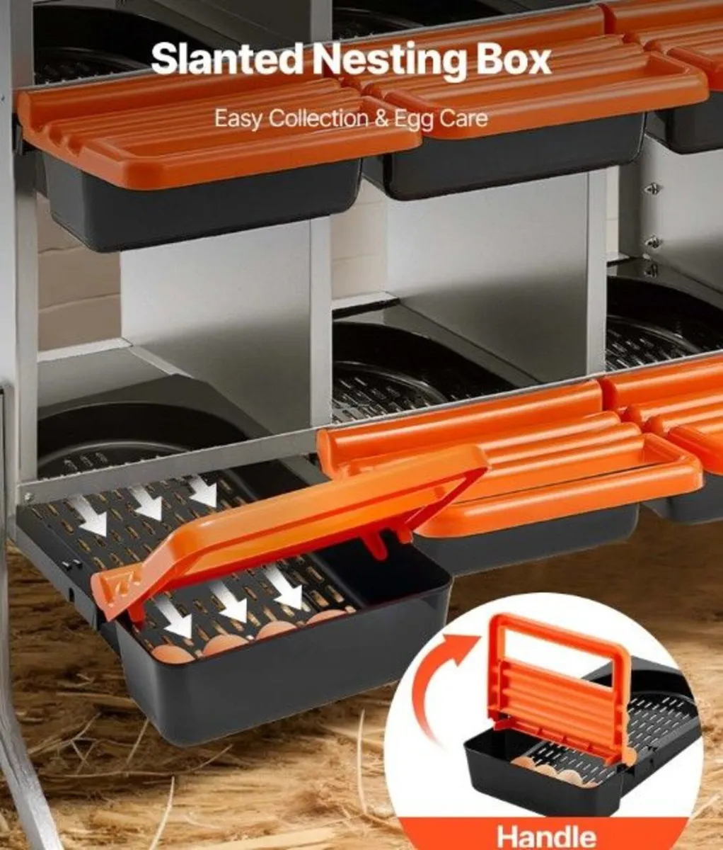 Chicken Nesting Boxes with 8 Compartments and Supp - Image 4