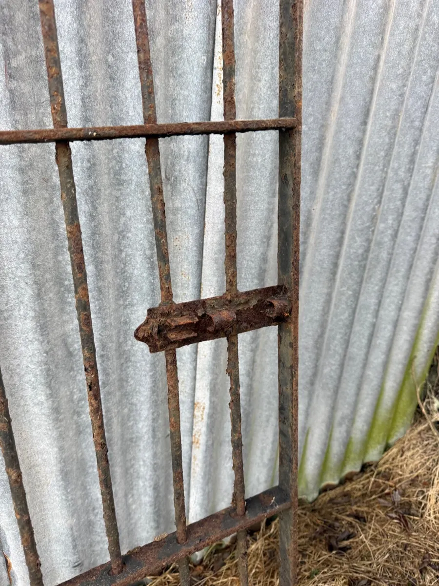 Old Prehen House garden gate. - Image 4
