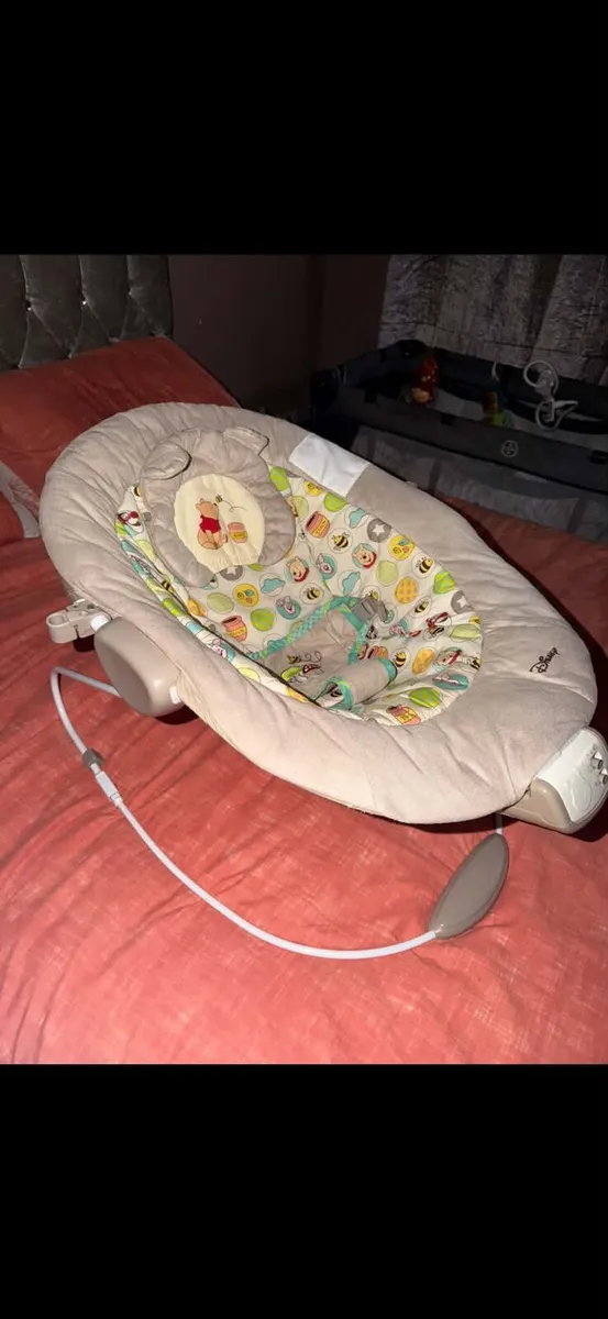 Winnie The Pooh Bouncer
