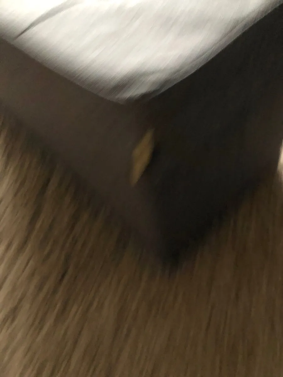 Free Ottoman storage - Image 2