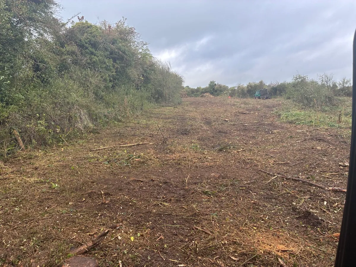 Mulching and tree shearing - Image 2
