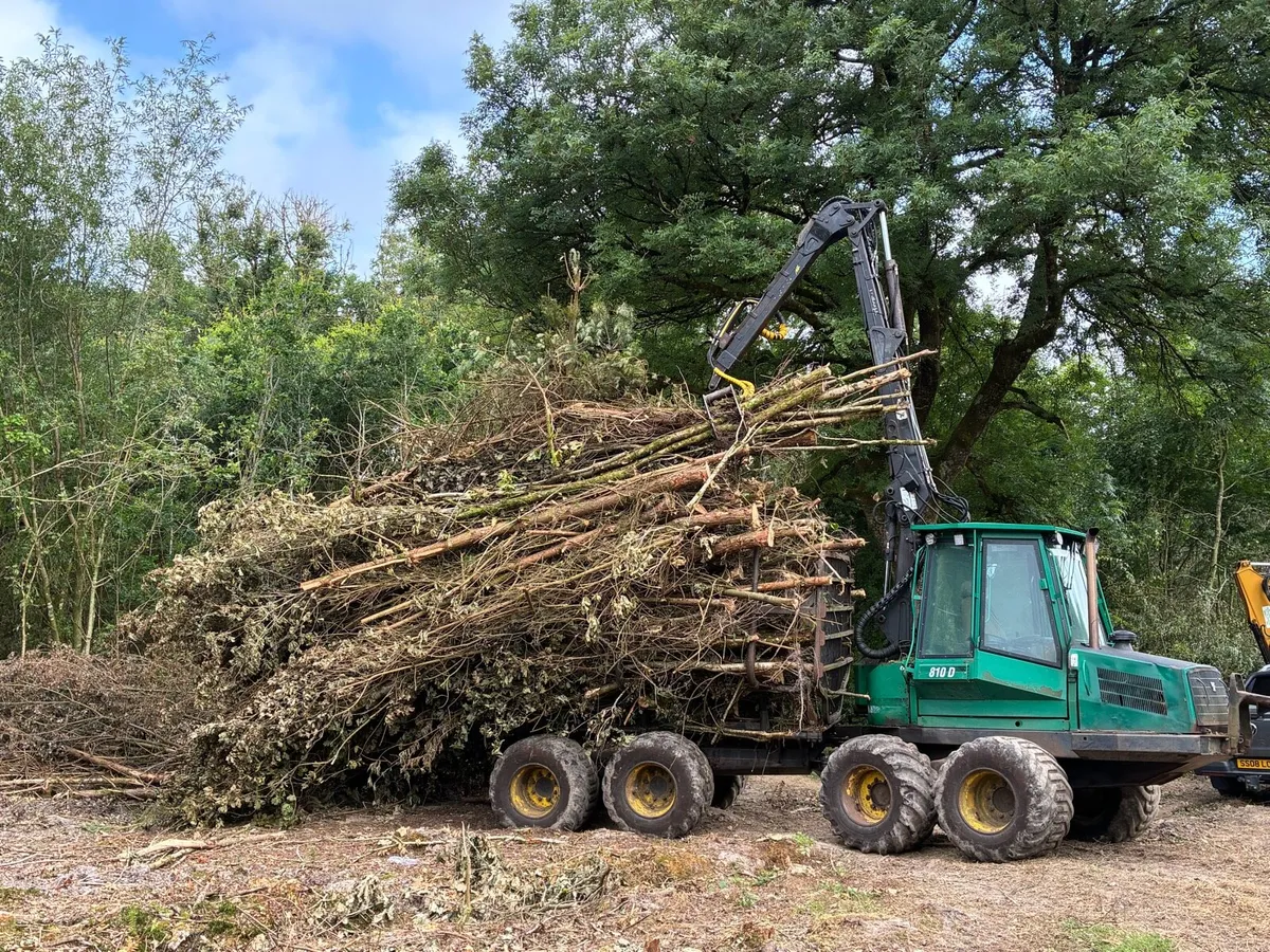 Mulching and tree shearing - Image 4