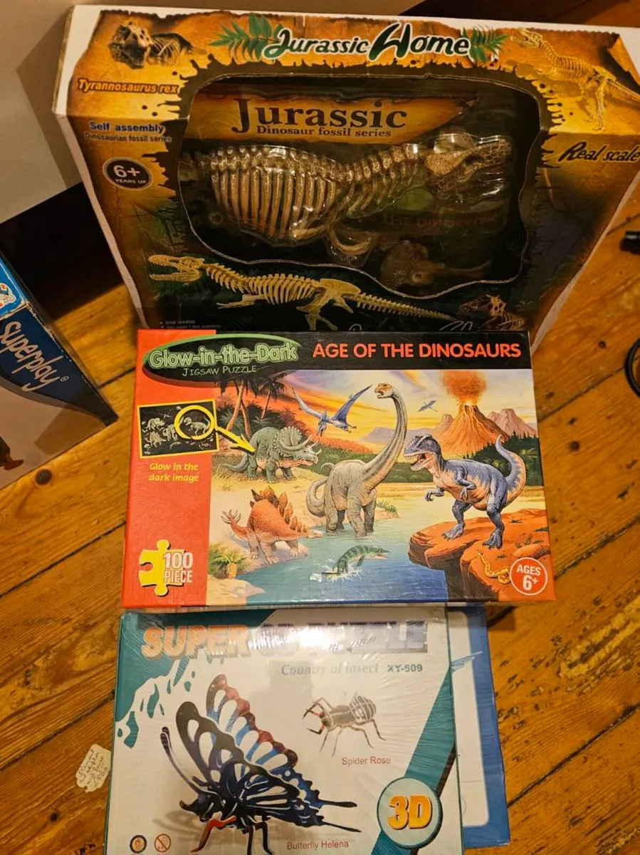 Puzzles and Toys Bundle - Image 2