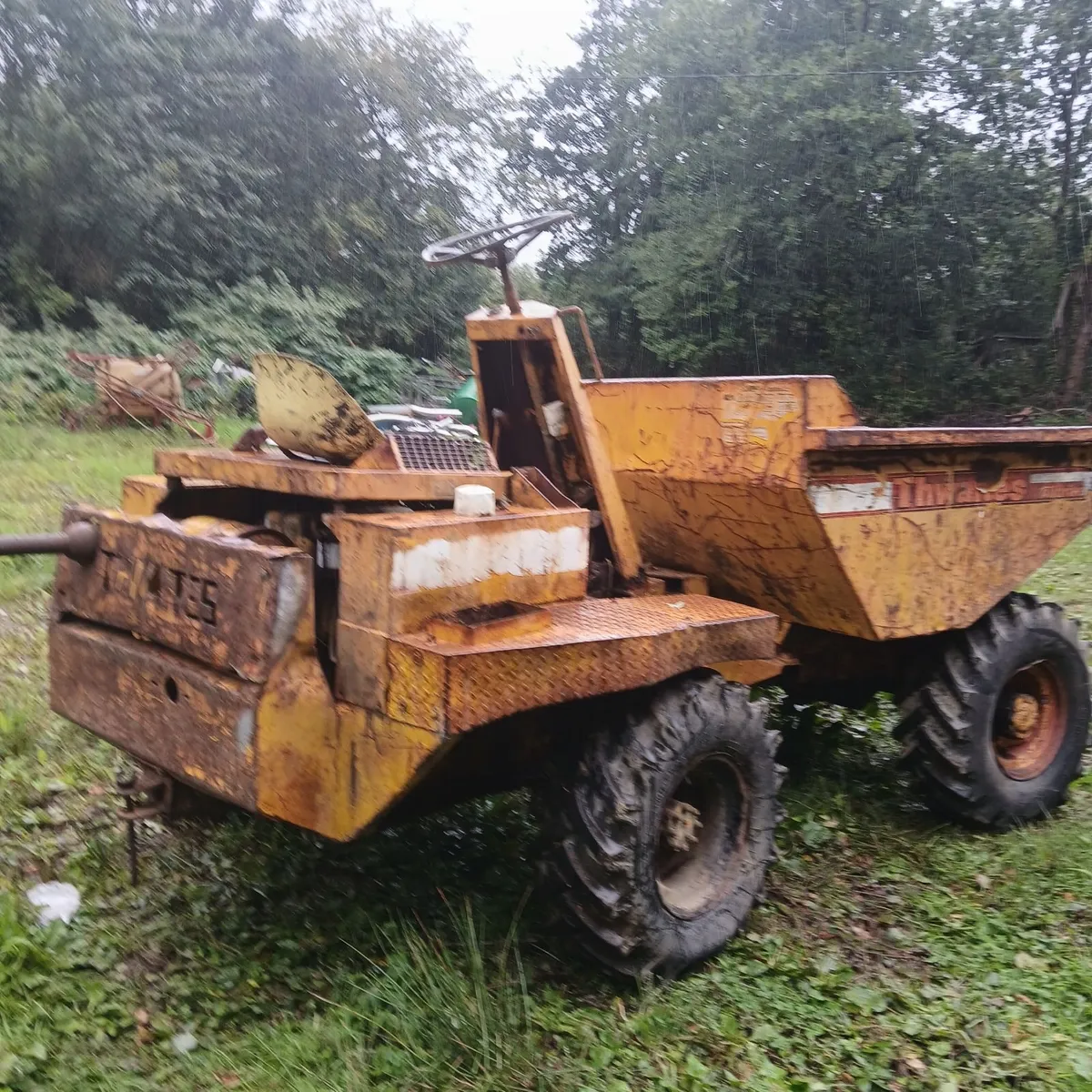 Dumper - Image 4