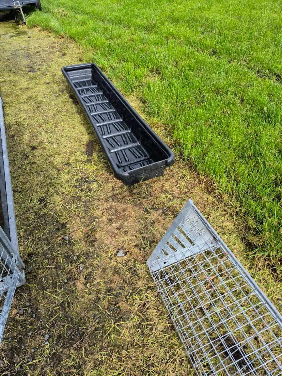 Trailer & Sheep  EQUIPMENT - Image 3