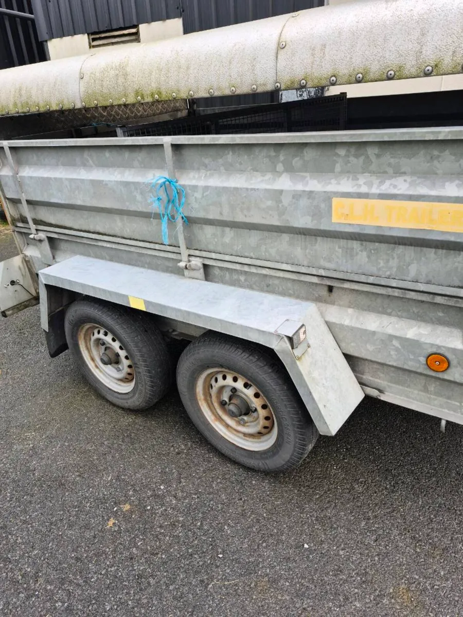 Trailer & Sheep  EQUIPMENT - Image 1