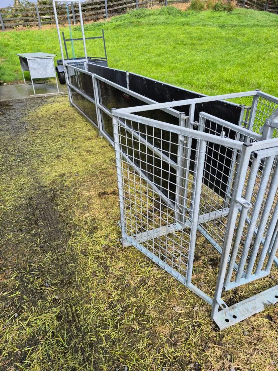 Trailer & Sheep  EQUIPMENT - Image 2
