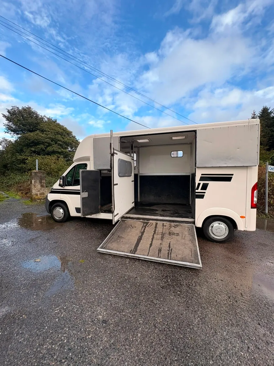 NI Horse lorry - Image 3