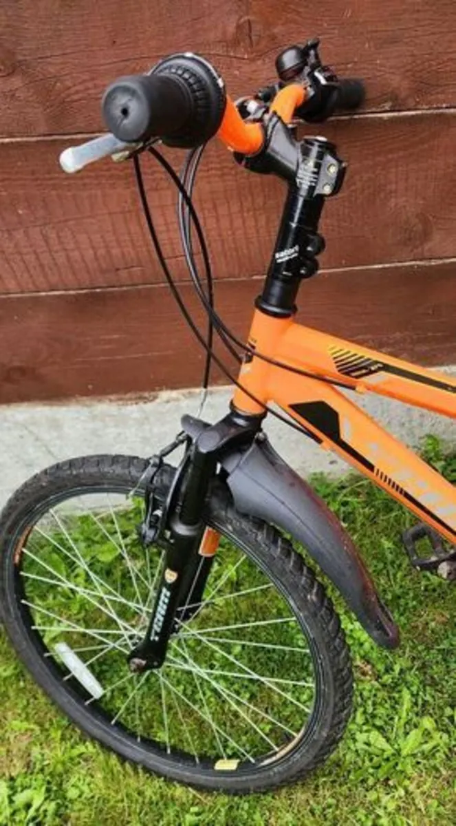 Mounting bike Team MX-24 - Image 2