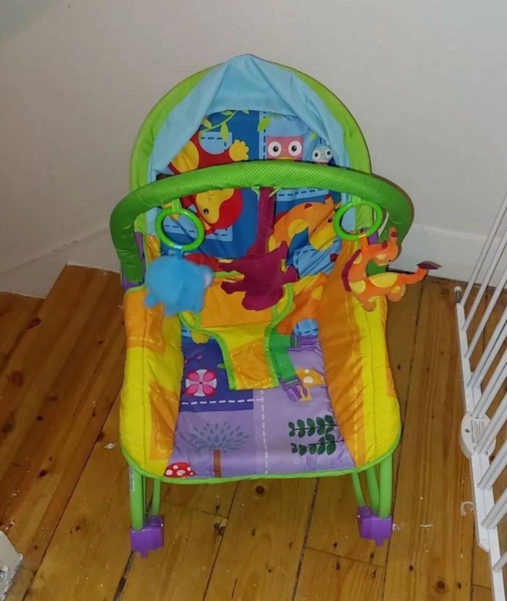 Rocker Bouncer / Toddler Chair - Image 1