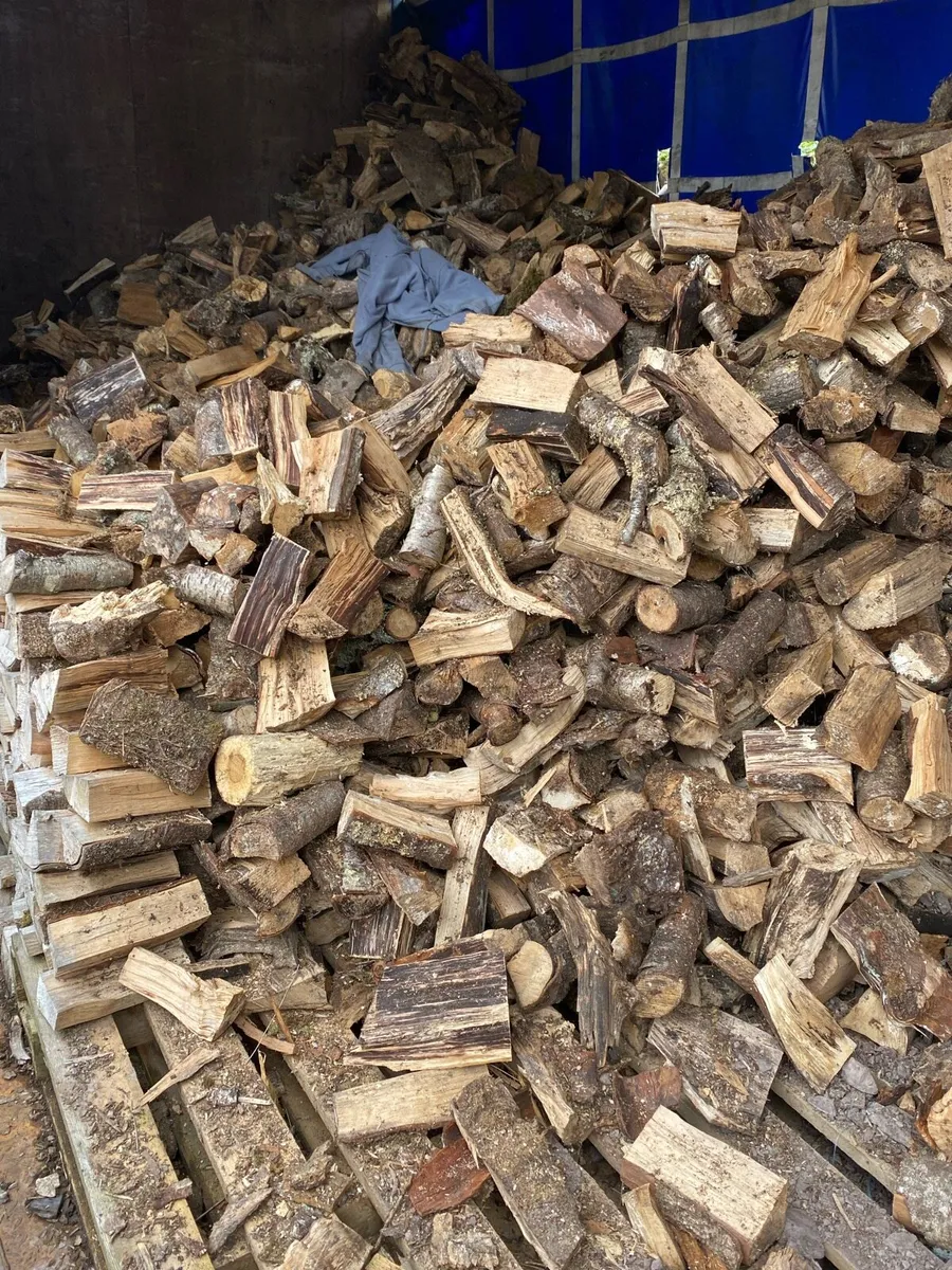 Firewood - Image 1