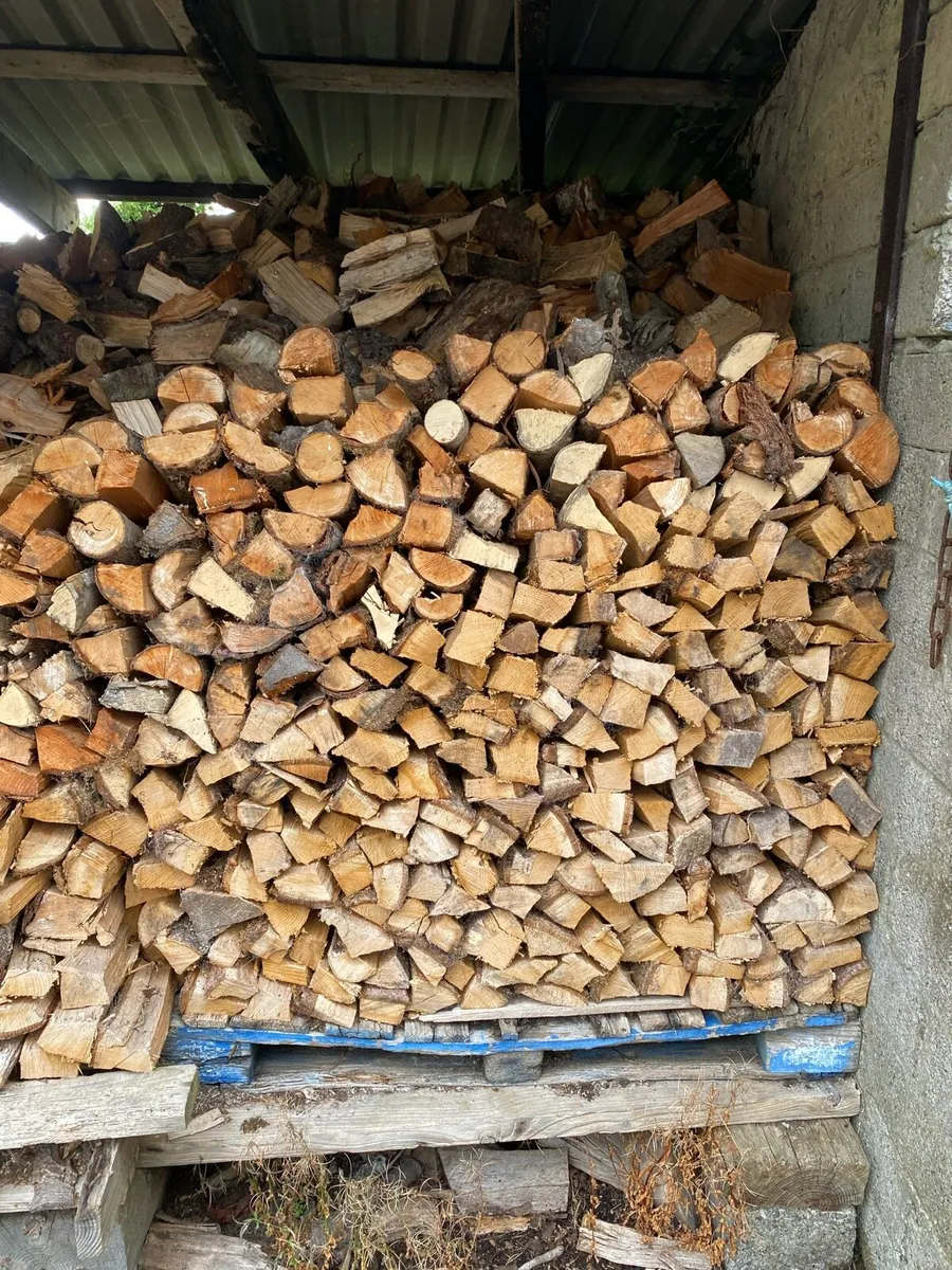 Firewood - Image 2