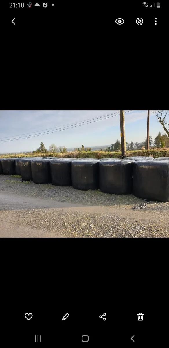 Silage  for sale
