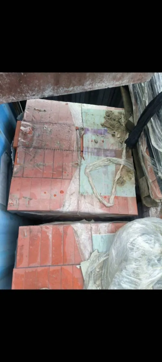 Clay bricks 520 a pallet - Image 2