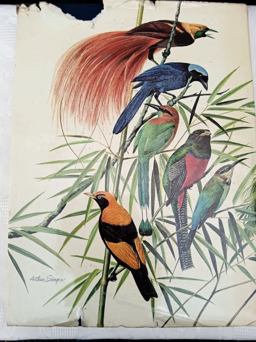 Birds of the World by Oliver L. Austin - Image 2