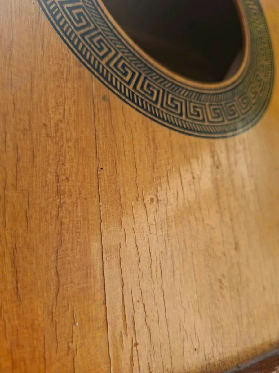 Vintage 1960's Egmond Acoustic with Maxwin Case - Image 1