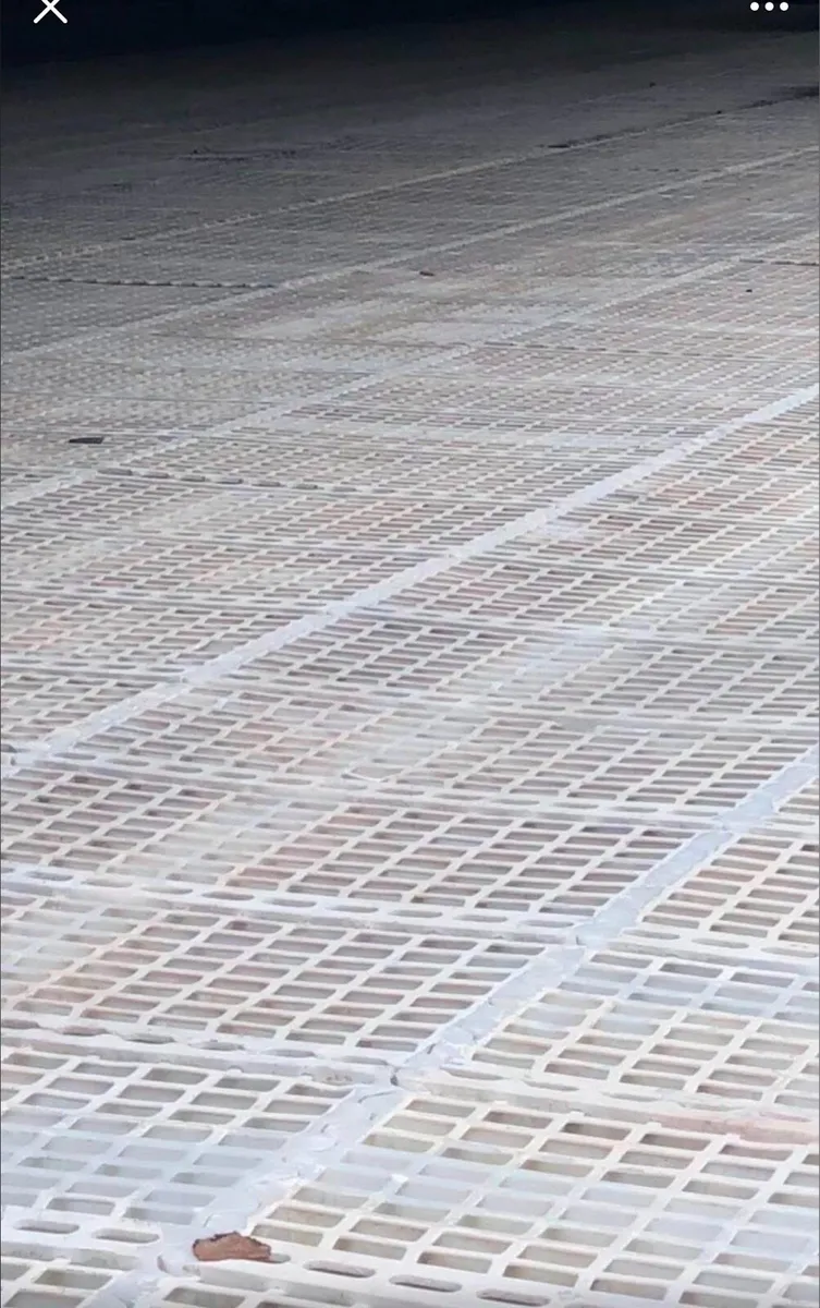 Sheep slats / calf slats