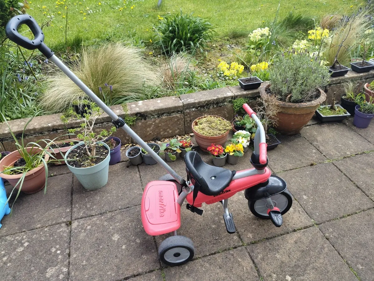 Toddler trike - Image 1