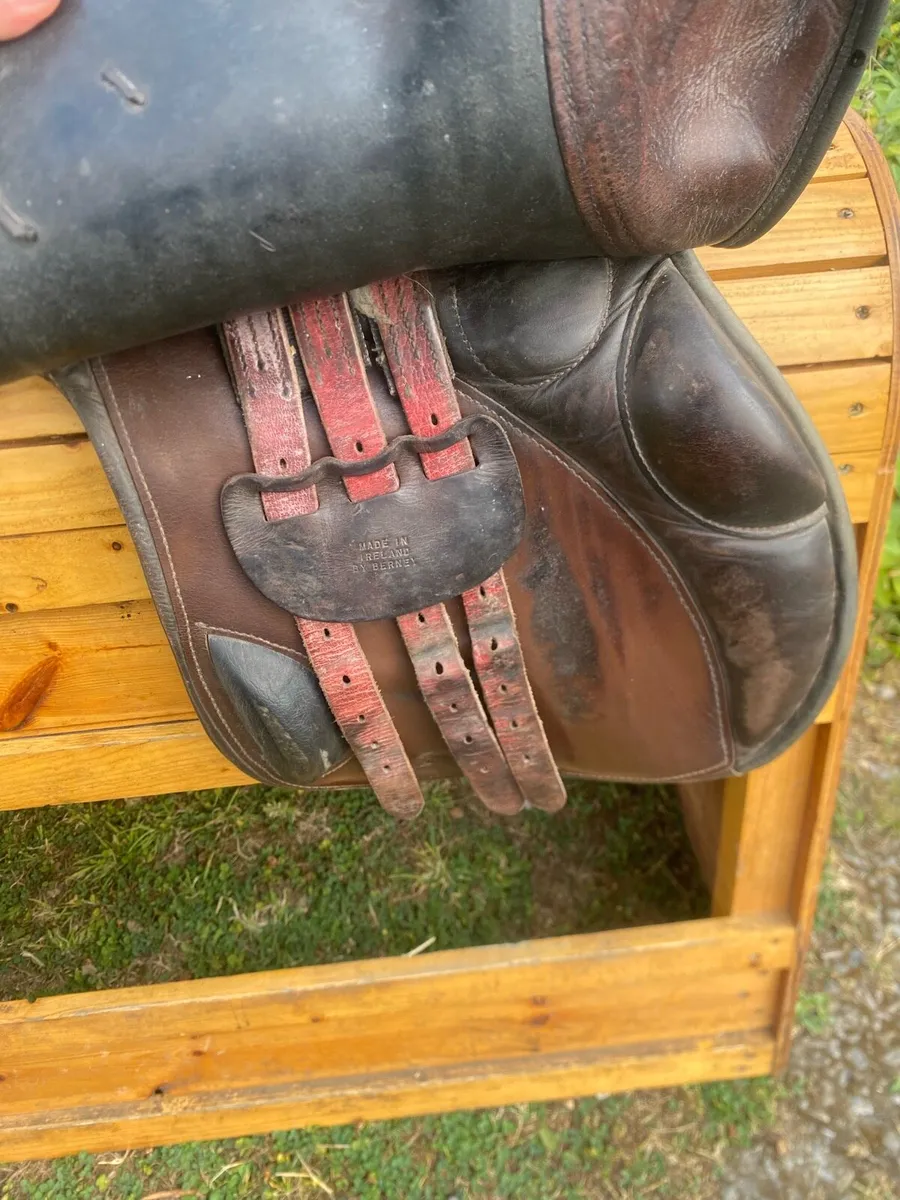 Berney brothers Leather saddle - Image 2