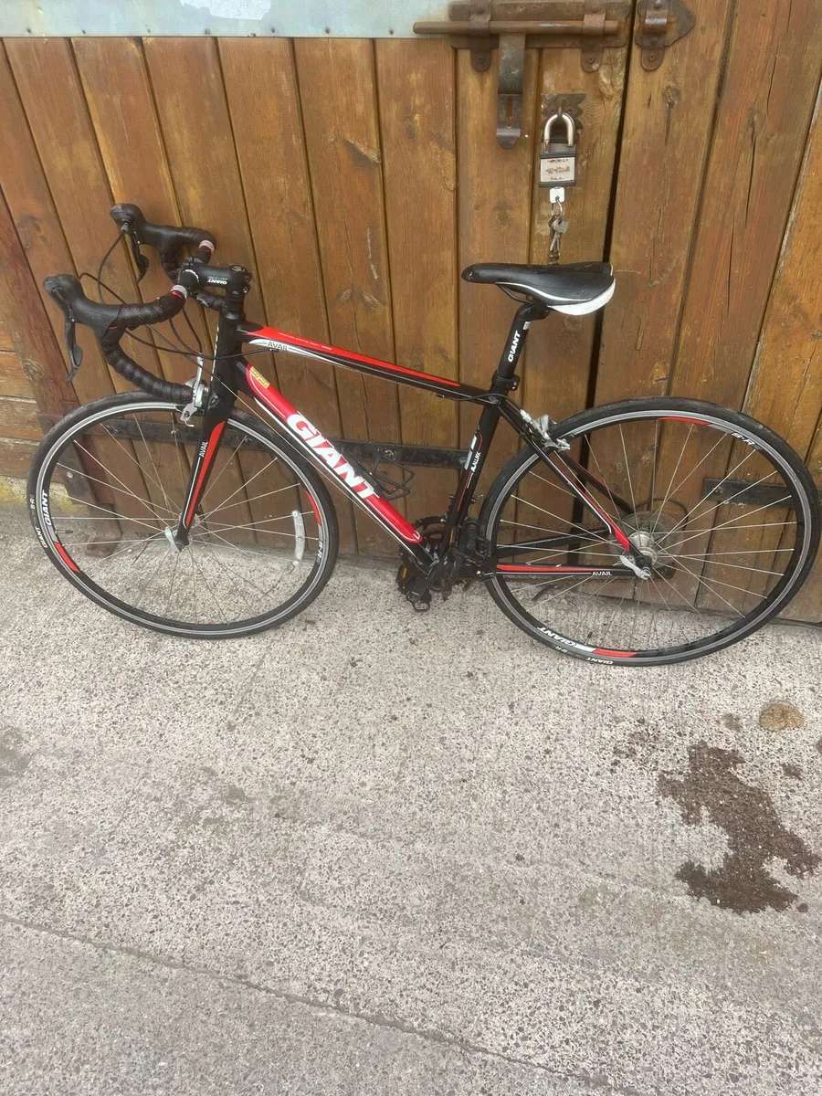 Giant Avail - Image 1