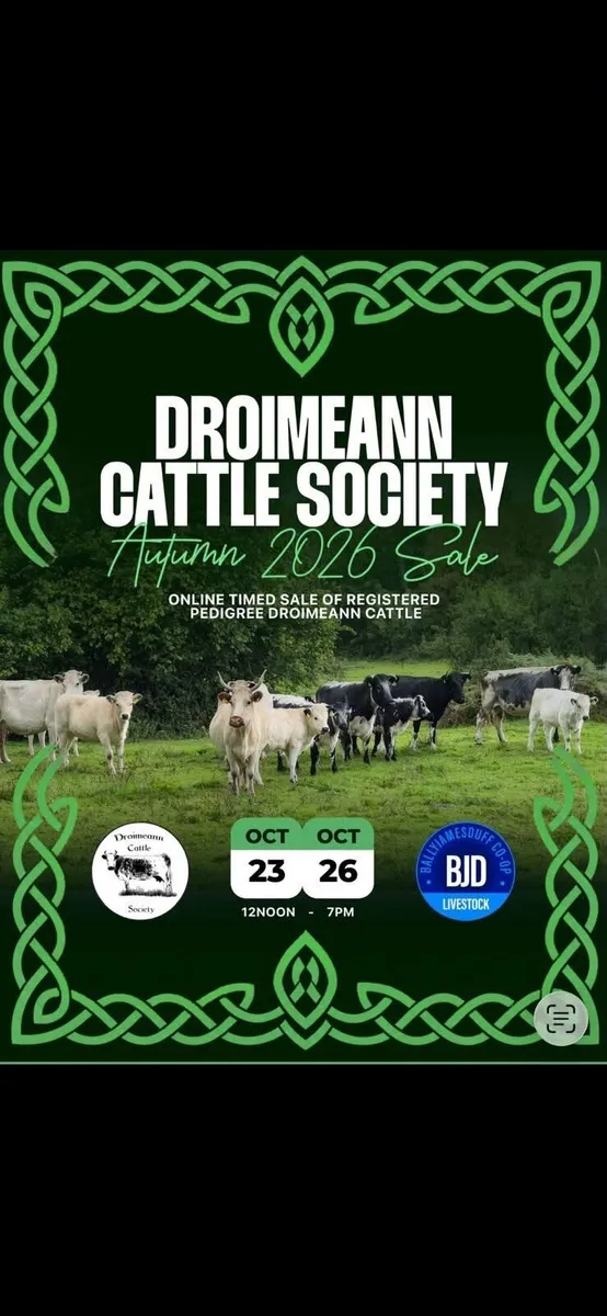 Droimeann Cattle Society - Image 1