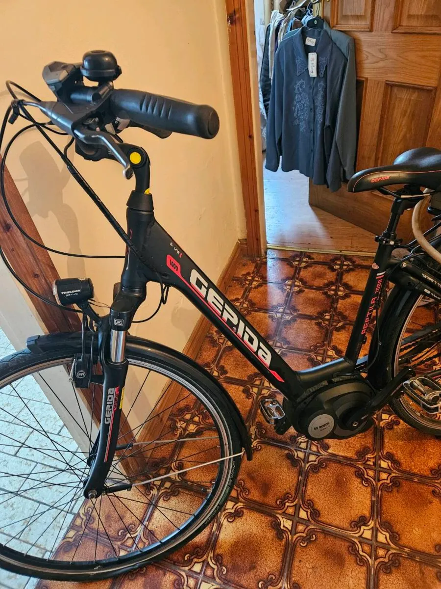 Electric bike - Image 1