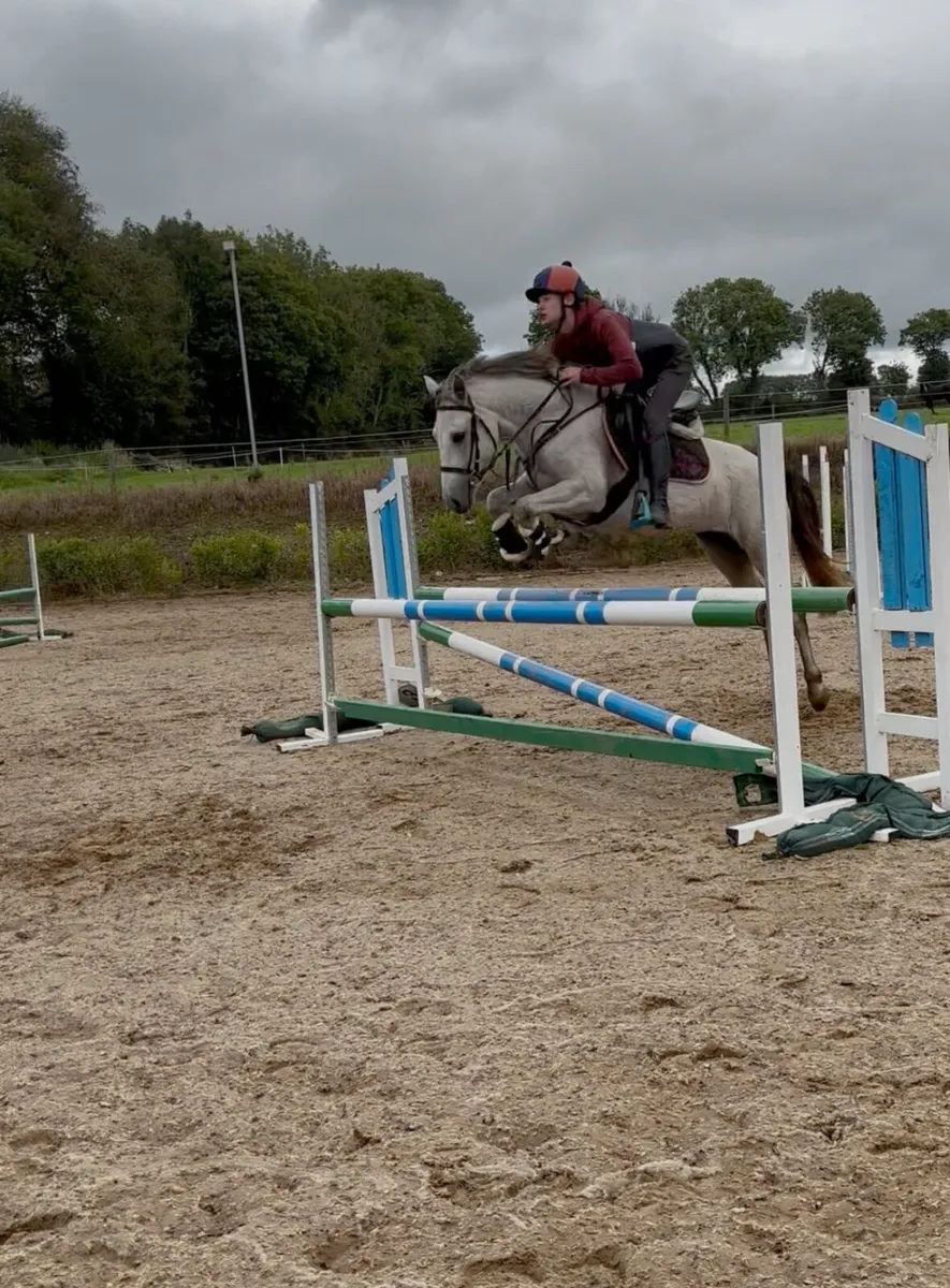 Pony - Image 1