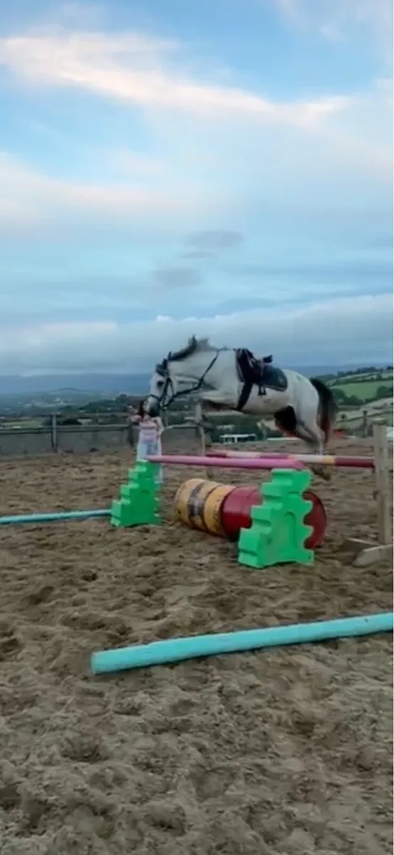 Pony - Image 3