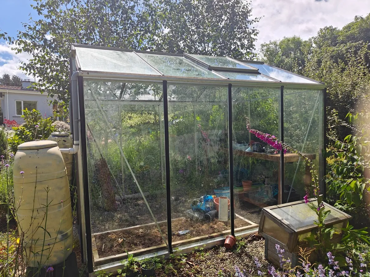 Green house  domestic garden - Image 2