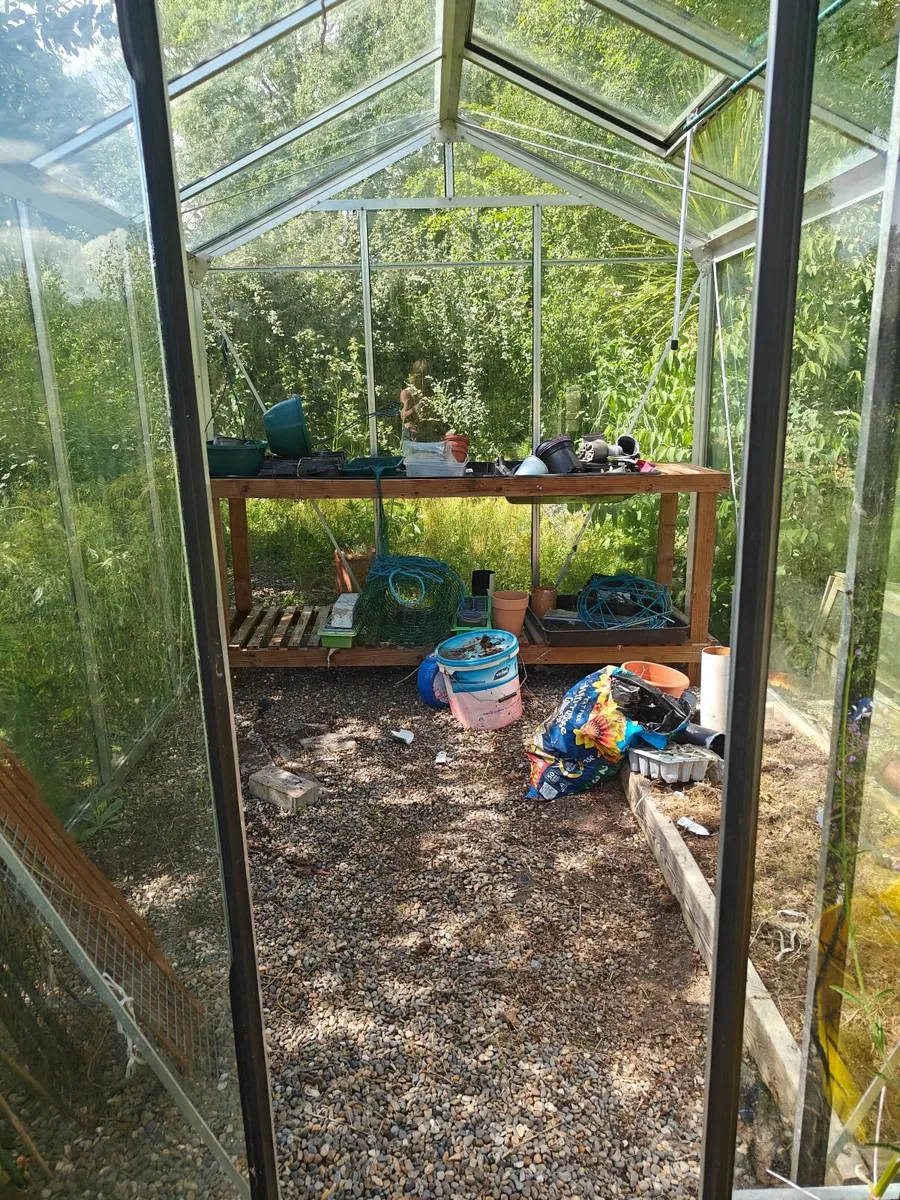 Green house  domestic garden - Image 3
