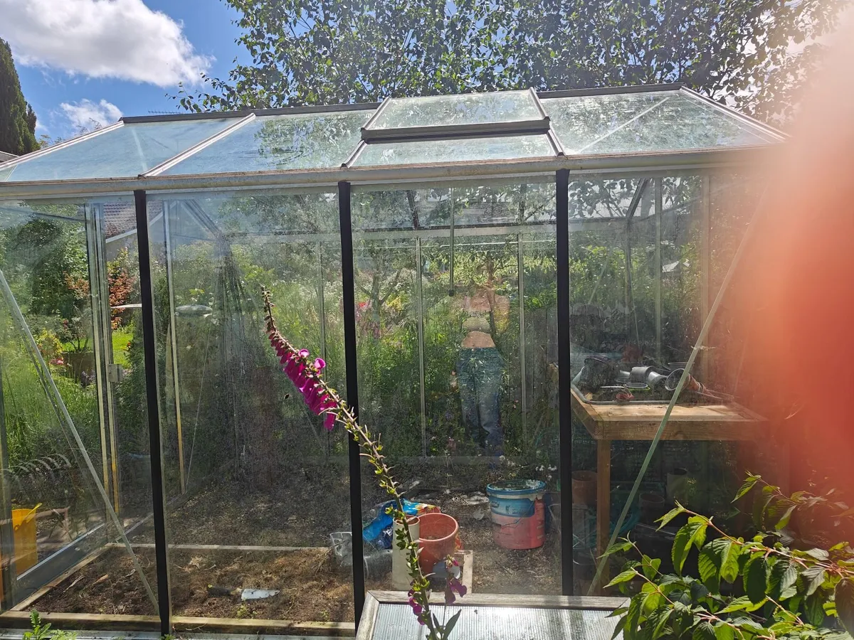 Green house  domestic garden - Image 1