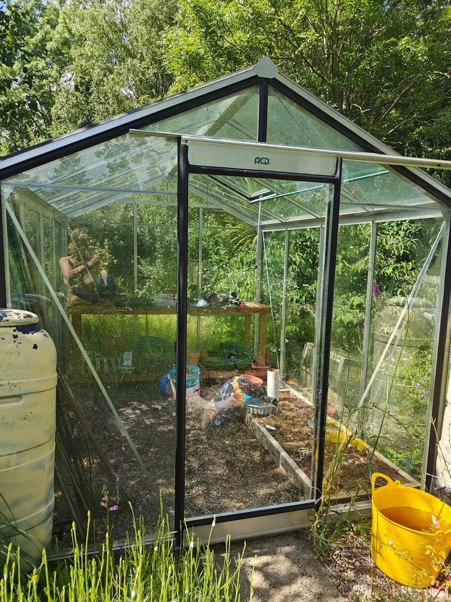 Green house  domestic garden - Image 4