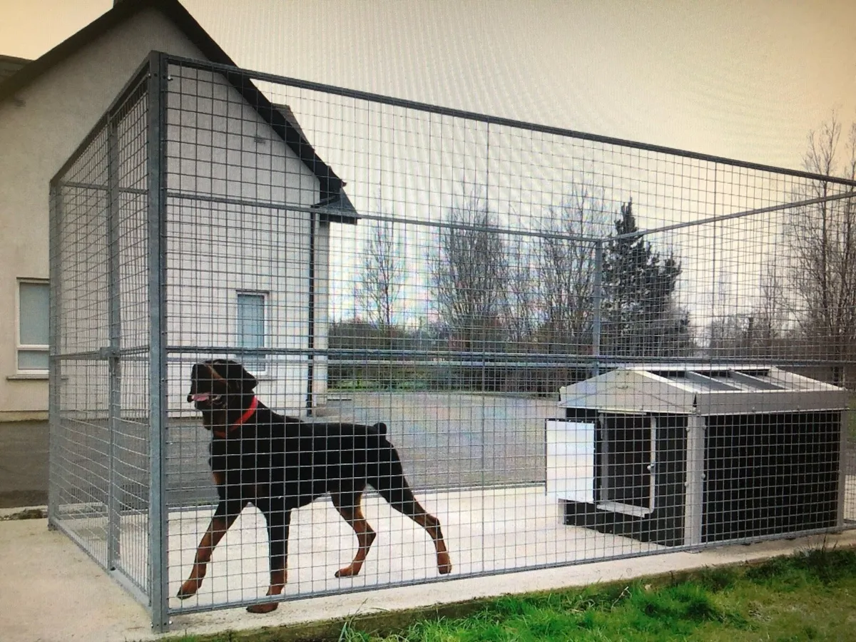 Mesh dog runs - Image 4