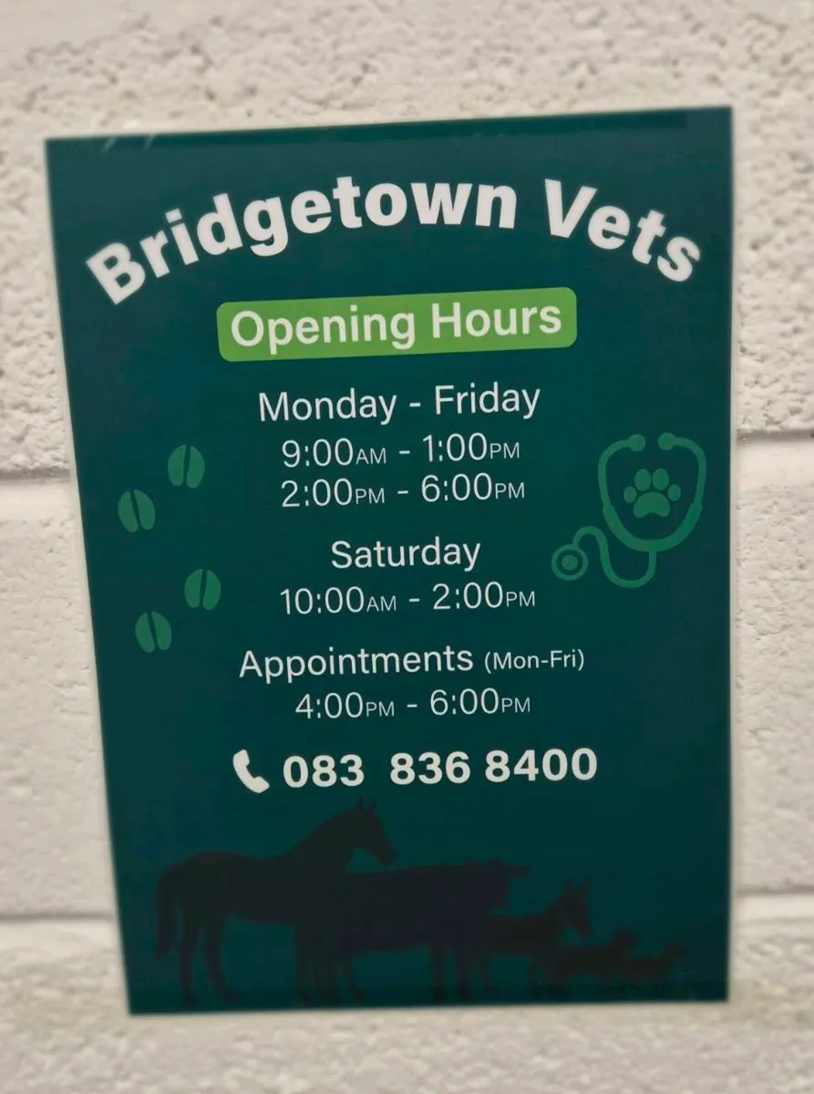Bridgetown Vets - Image 1