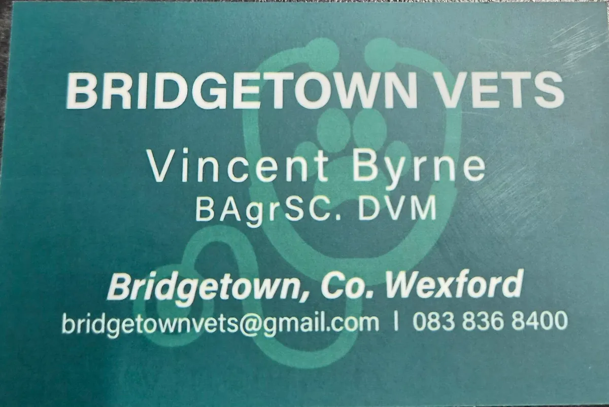 Bridgetown Vets - Image 2