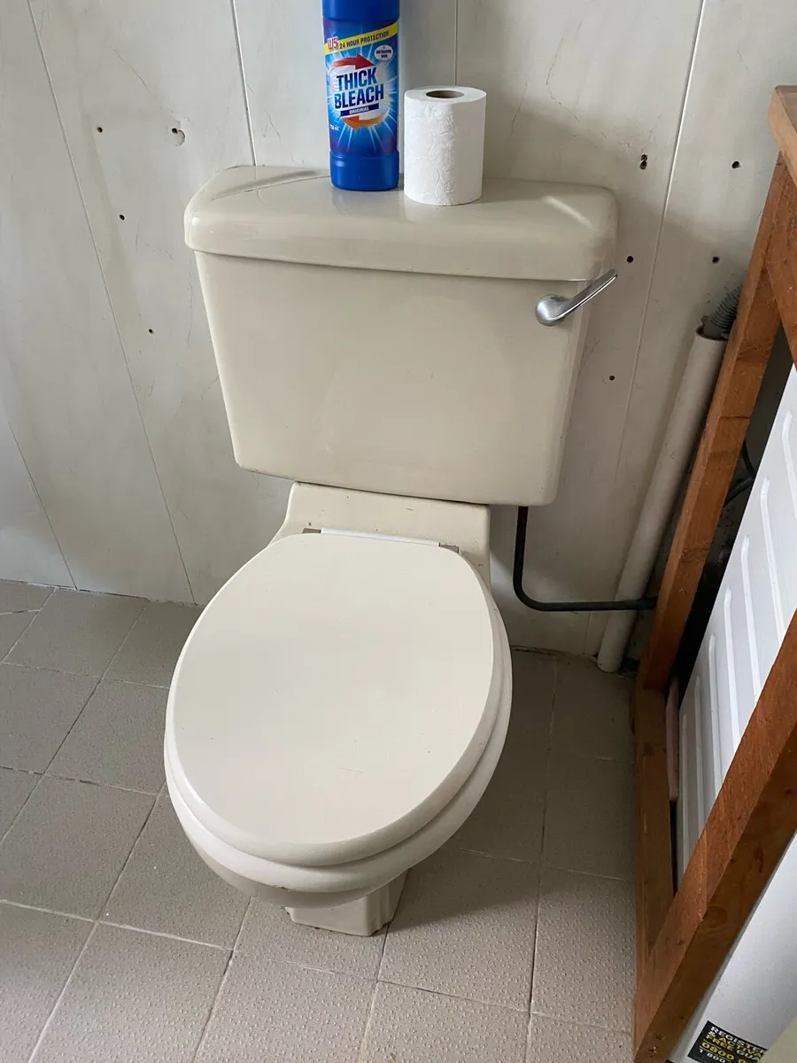 Toilet and sink - Image 1