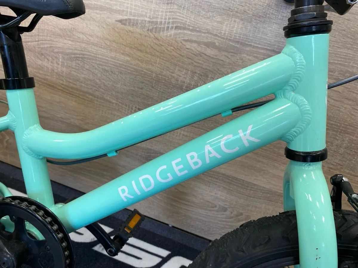 Ridgeback  melody - Image 3
