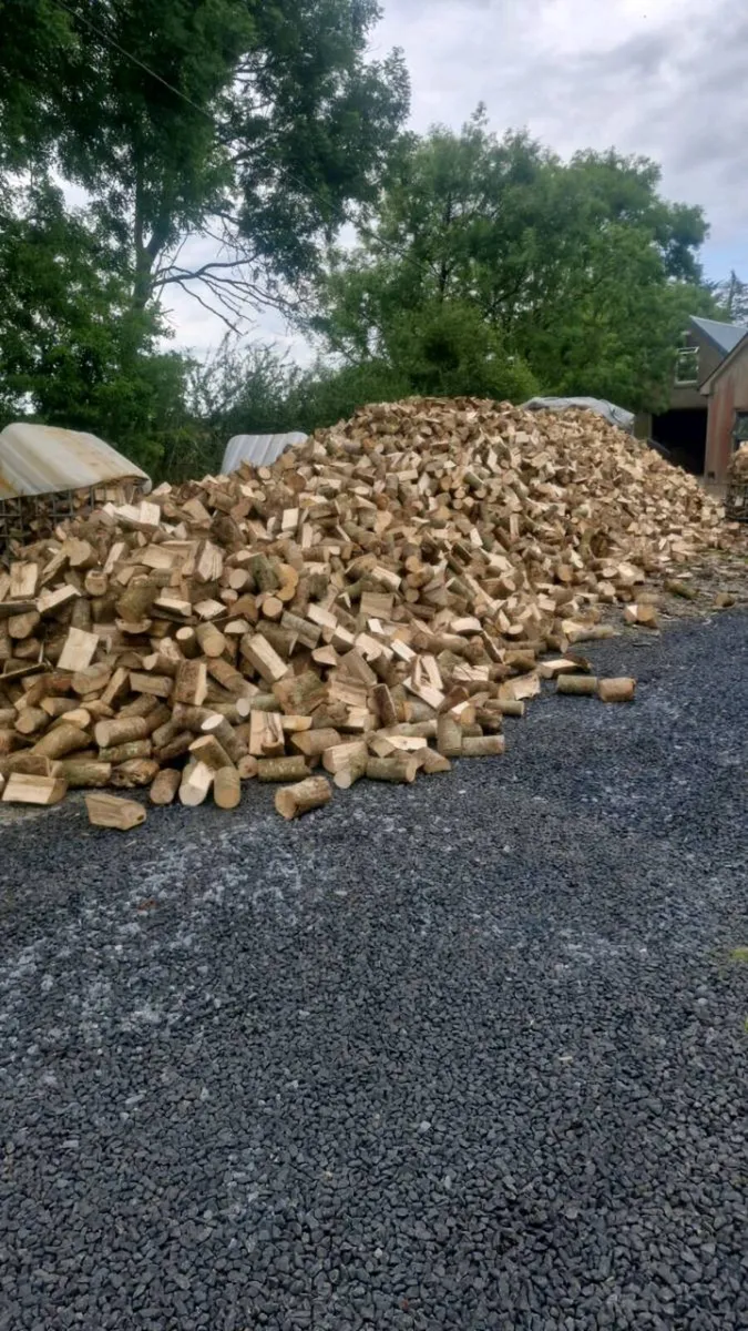 Hardwood timber. Split - Image 3