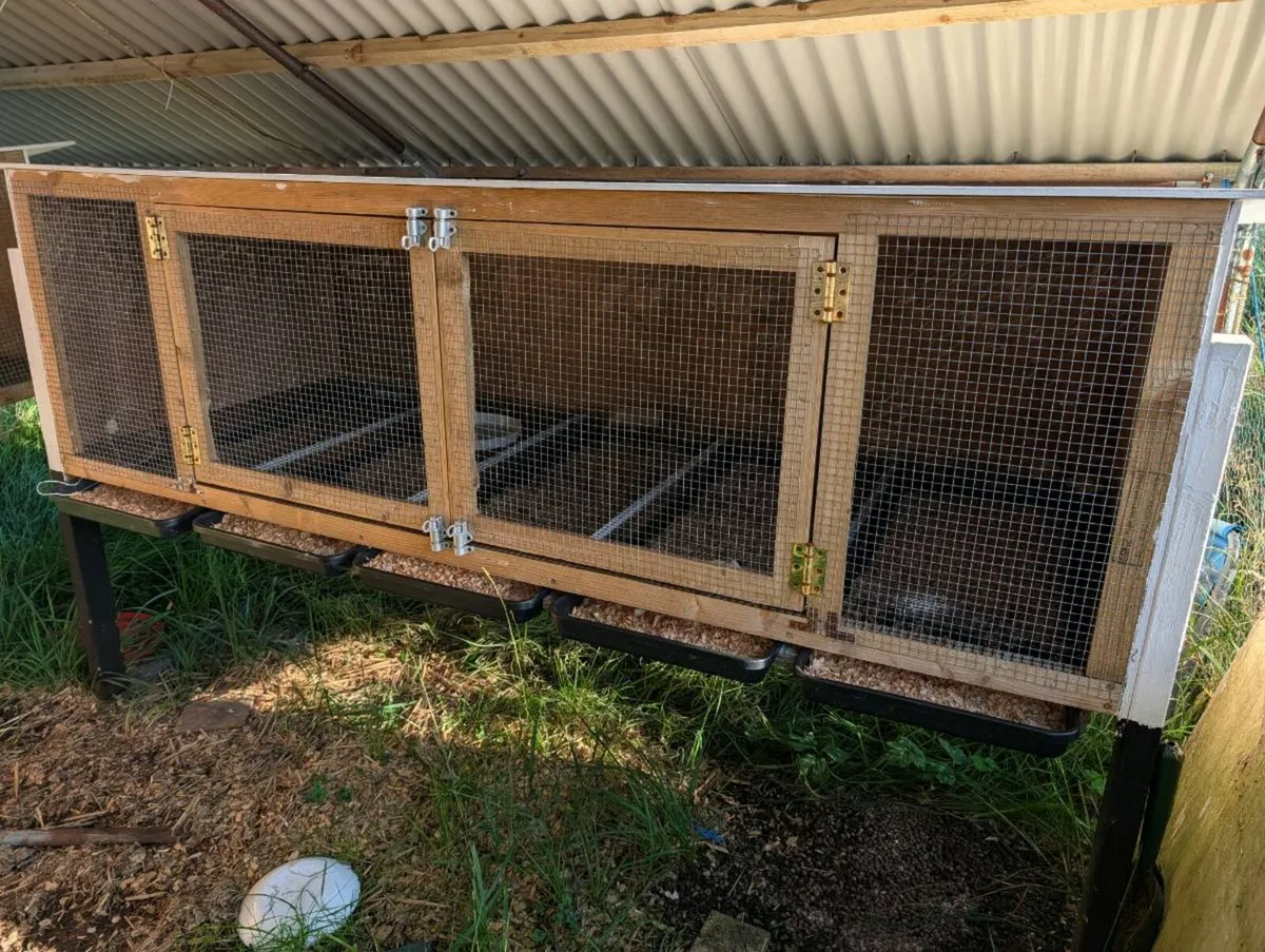 Rabbit hutch - Image 2