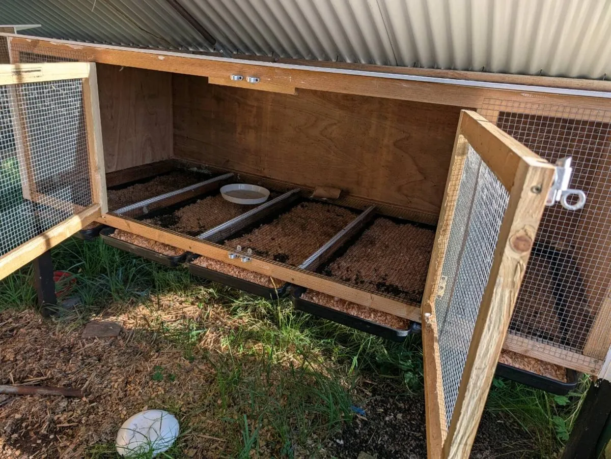 Rabbit hutch - Image 3