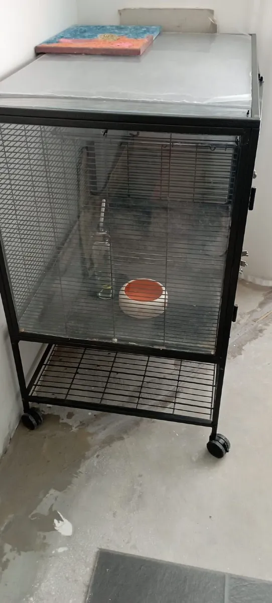 Animal Cage - Image 2