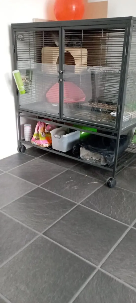 Animal Cage - Image 3