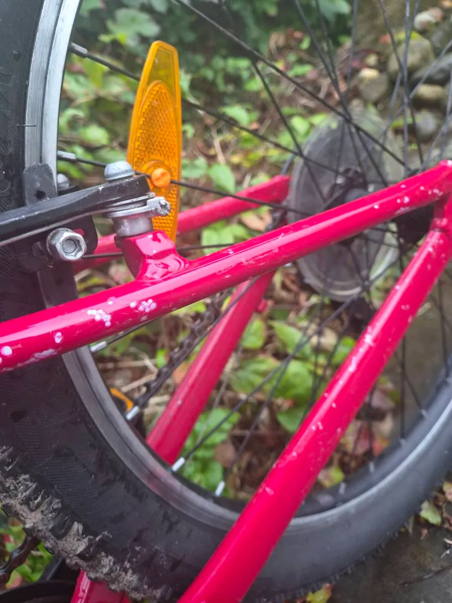 TREK 24-INCH BIKE - Image 4